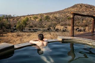 Hotel Impodimo Game Lodge