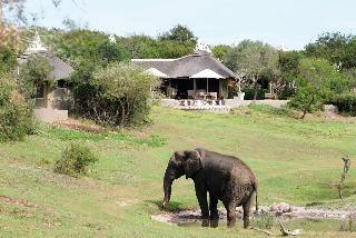 Hotel Safari Lodge � Amakhala Game Reserve