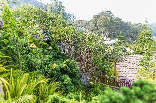 Hotel Zen Valley Dalat