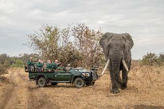 Hotel Shiduli Private Game Lodge