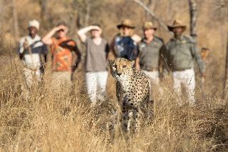 Hotel Chisomo Safari Lodge