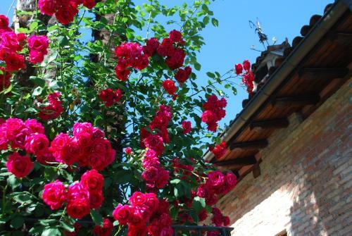 Hotel&hostel Montarina