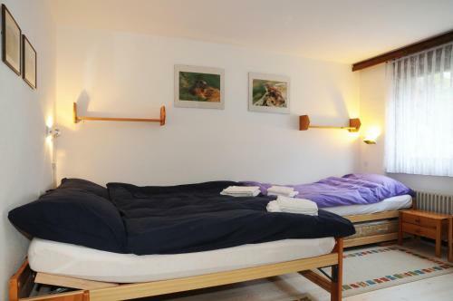 Apartamentos Alpenhaus Bettmeralp