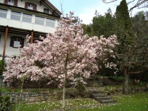 Posada Hotel Beatus