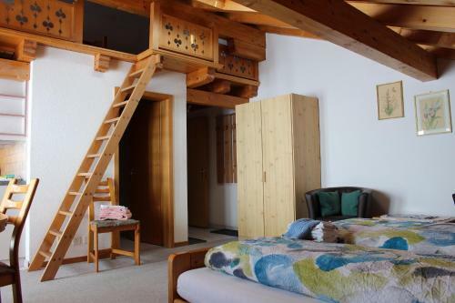 Apartamentos Chalet Spinne