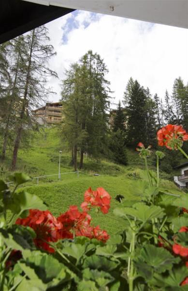 Chalet-hotel Larix