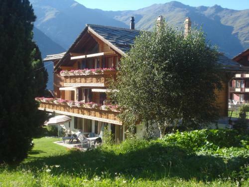 Apartamentos Chalet Petunia