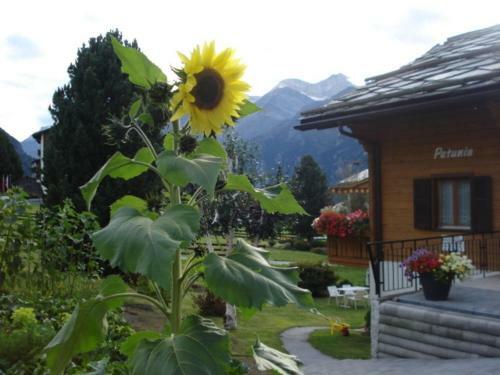Apartamentos Chalet Petunia