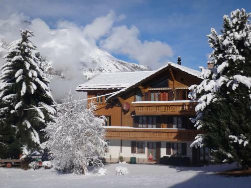 Apartamentos Chalet Petunia