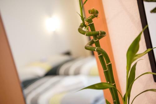 Apartamentos Chalet Weekend