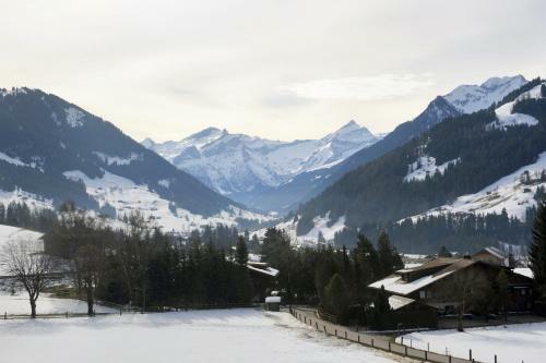 Hotel Bellerive Gstaad