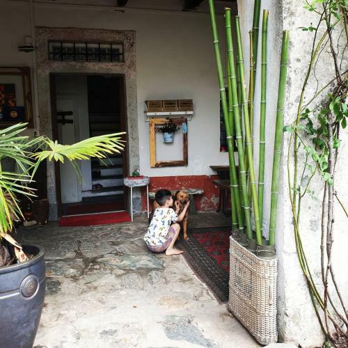 Bed & Breakfast Affittacamere Casa Archi