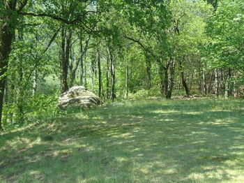Albergue Ostello Riposo