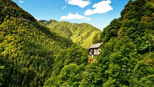 Hotel Rovere