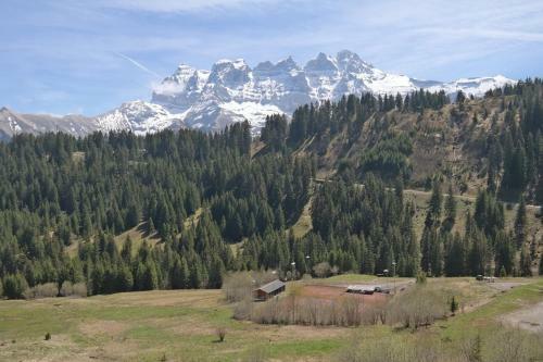 Apartamento Appartement Moilles 15