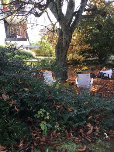 Garden Studio Apartment Z�richberg