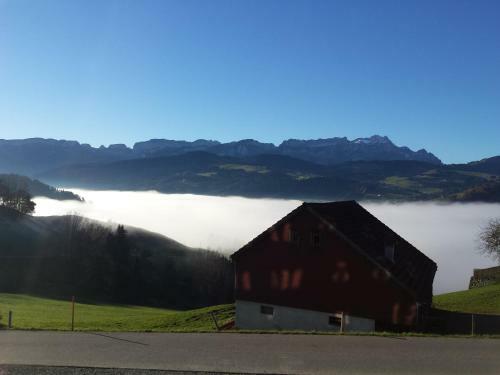 Posada Gasthaus B�ren Schlatt
