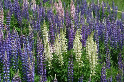 Bed & Breakfast Bnb Claudy Et Elizabeth Michellod-dutheil