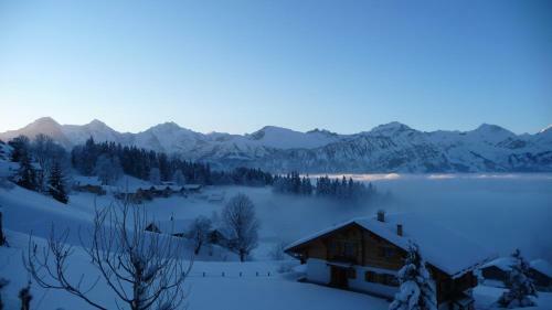 Alphotel Eiger B&B