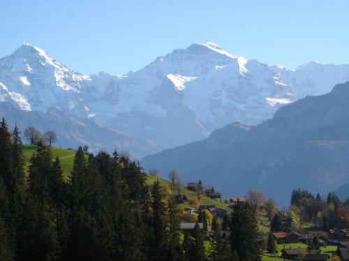 Apartamentos Chalet Sunneschyn