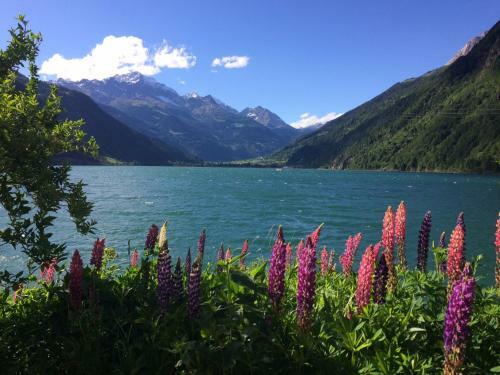 Hotel Albergo Lardi