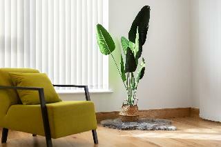 Fusion Apartments