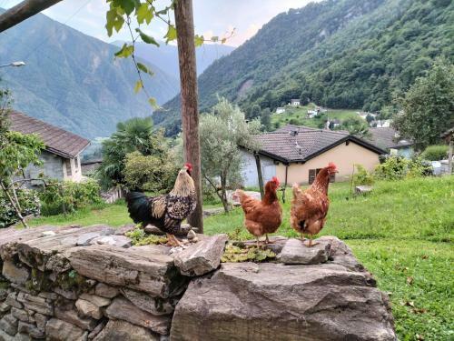 Bed & Breakfast Da Erminia