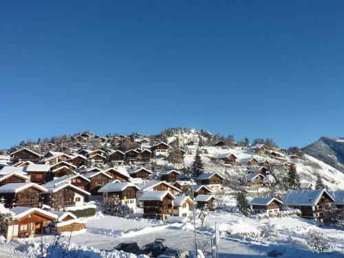 Chalet Vercoquin