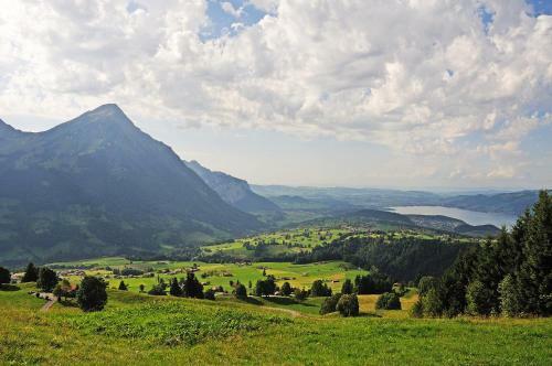 Chalet Tannegg