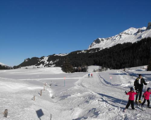 Hotel St�tzerhorn