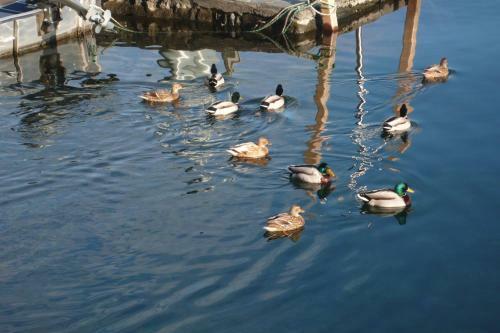 Hotel Ristorante Posta Al Lago