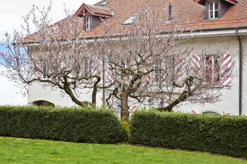 Apartamentos Domaine Du Burignon