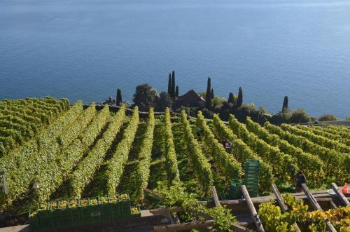 Apartamentos Domaine Du Burignon