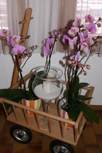 Hotel Gl�rnisch Hof