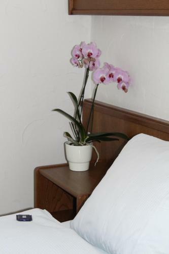 Hotel Gl�rnisch Hof