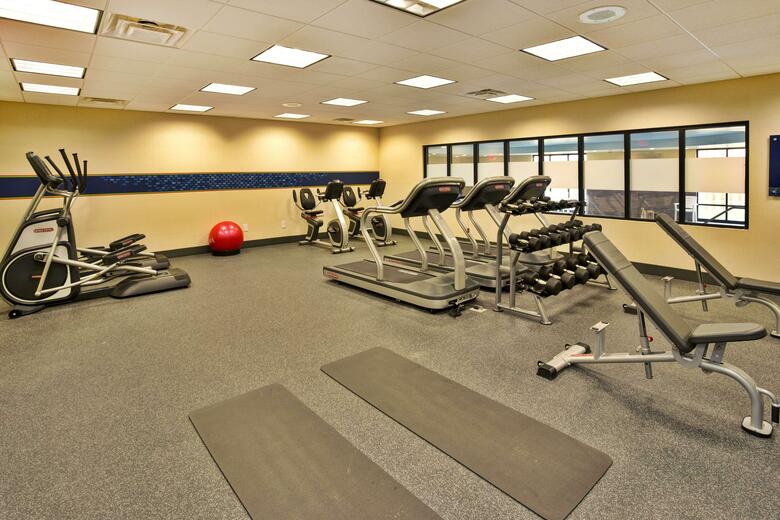 Hotel Hampton Inn Niagara Falls/airport