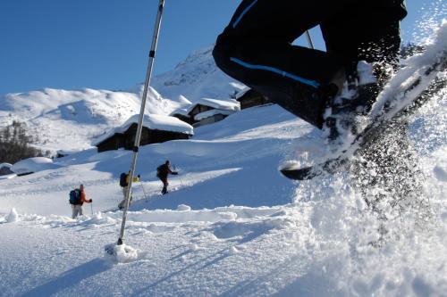 Hotel / Berggasthaus Wasenalp