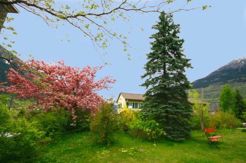 Bed & Breakfast Bnb Haus Sch�nstatt