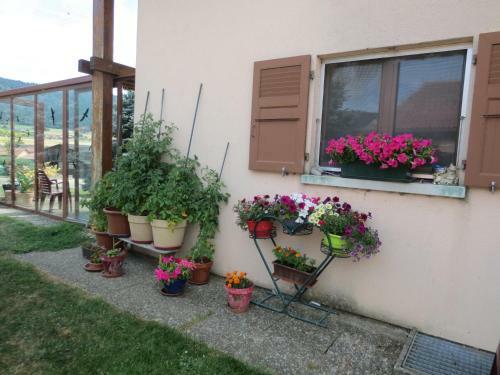 Bed & Breakfast A La Ferme