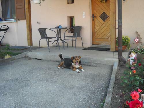 Bed & Breakfast A La Ferme