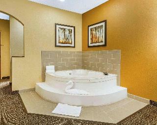 Hotel Comfort Suites North Minneapolis