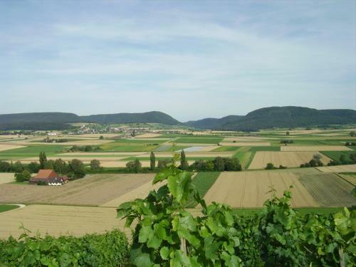 Hostal R�edi - Fasstastische Ferien