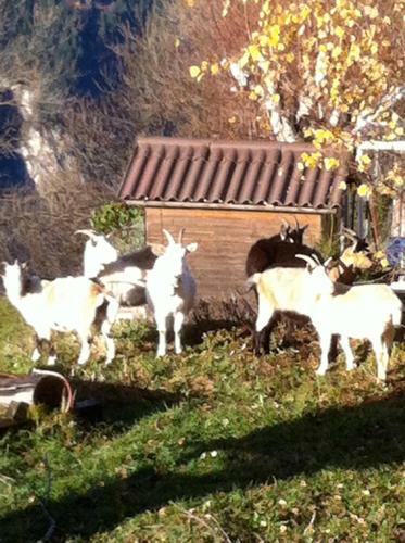Bed & Breakfast Da Norma