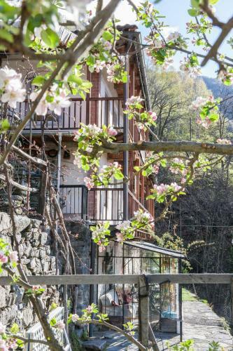 Bed And Breakfast Da Toldo