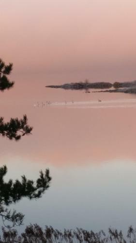 Apartamento Glafsfjordens Bed & Breakfast