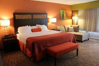 Hotel Holiday Inn Danbury-bethel