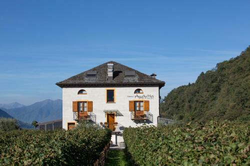 Hotel Fattoria L'amorosa