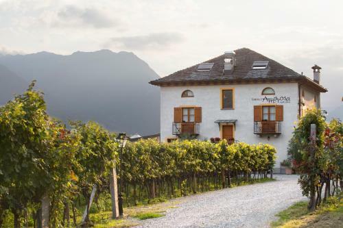 Hotel Fattoria L'amorosa
