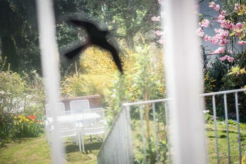 Bed & Breakfast Au Jardin