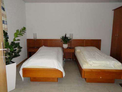 Hostal Gasthof Sonne